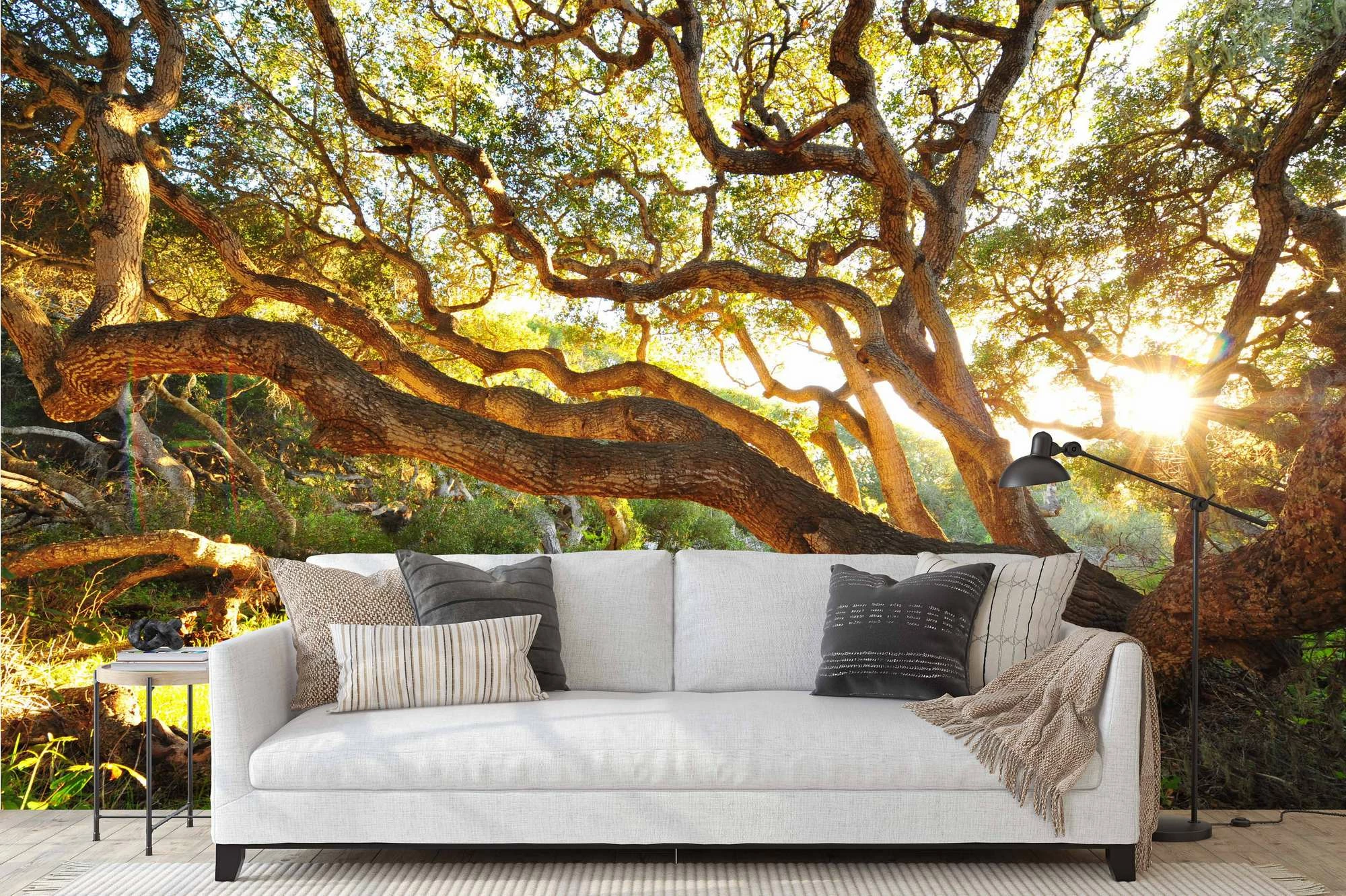 Murale muri Wallity, MDK-00116, 300x270 cm