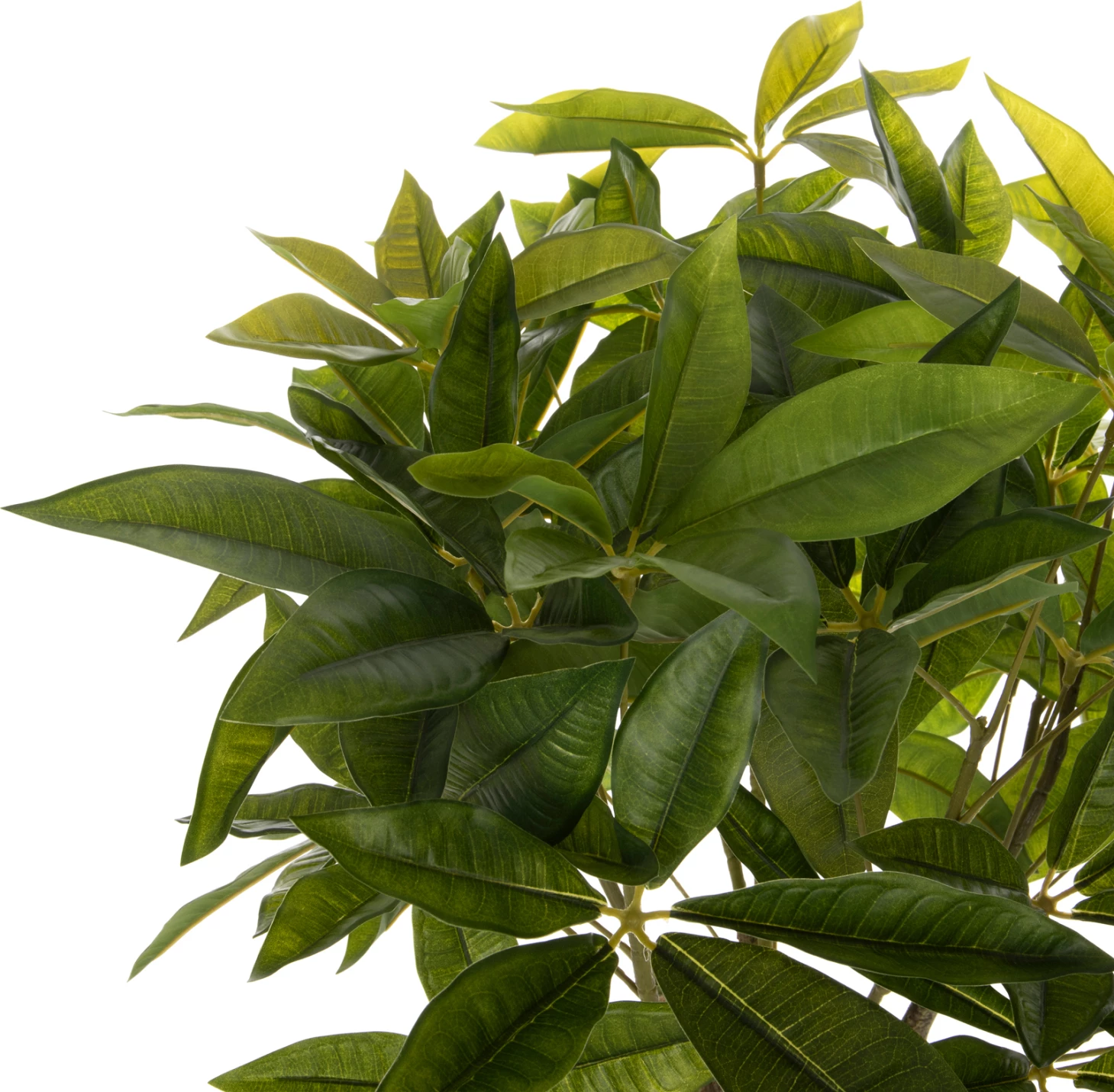 Bimë sintetike dekorative në vazo FH4001 Pachira Macrocarpa ("Pema e Parave") 116H cm