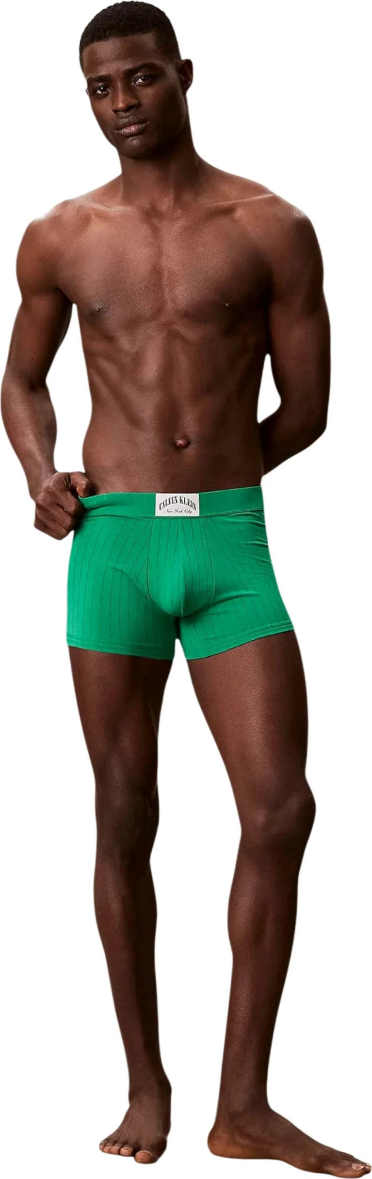 Të brendshme për meshkuj Calvin Klein Underwear TRUNK LV00NB4504, të gjelbra [Madhësia: XS]