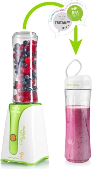 Blender GALLET GALMS590