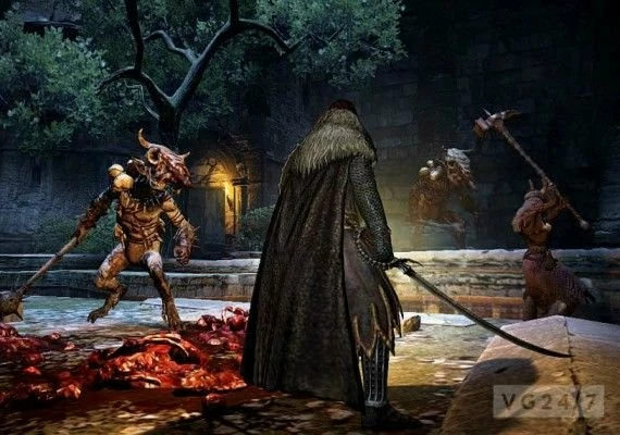 Dragon's Dogma: Dark Arisen EN Global