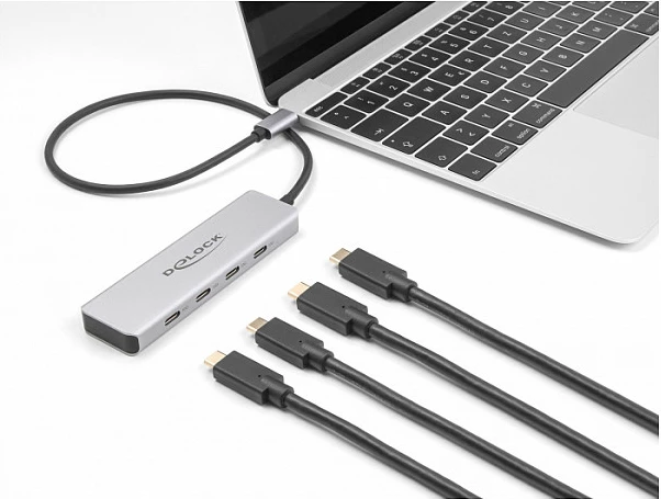 USB-C hub DeLOCK, 4x USB Type-C, 10 Gbps, kabllo 35 cm, gri