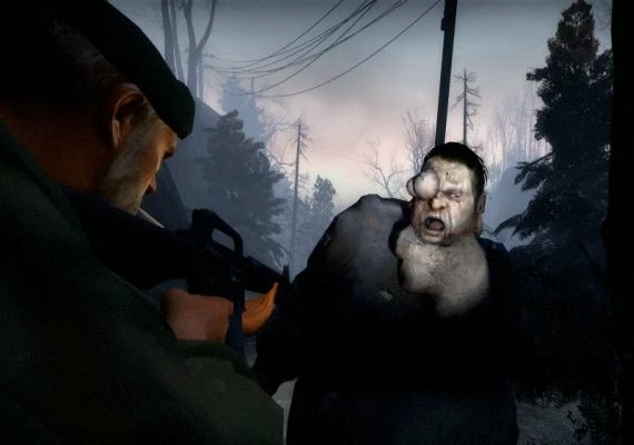 Left 4 Dead EN Global