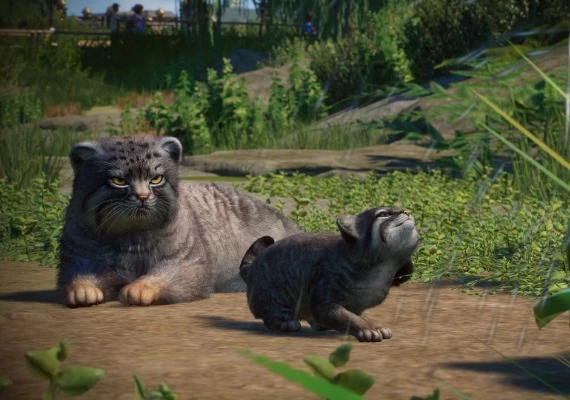 Planet Zoo - Zookeepers Animal Pack DLC Global