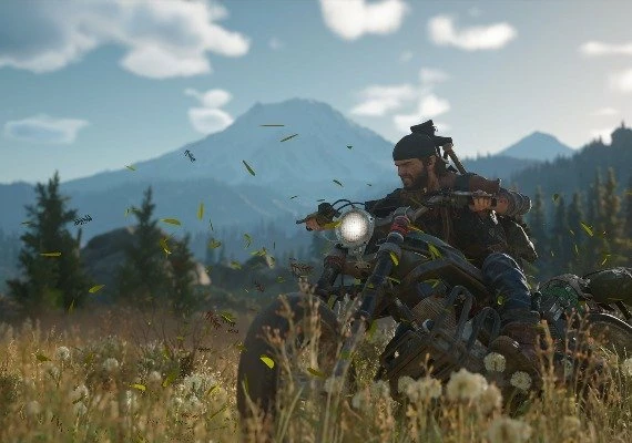 Days Gone Global