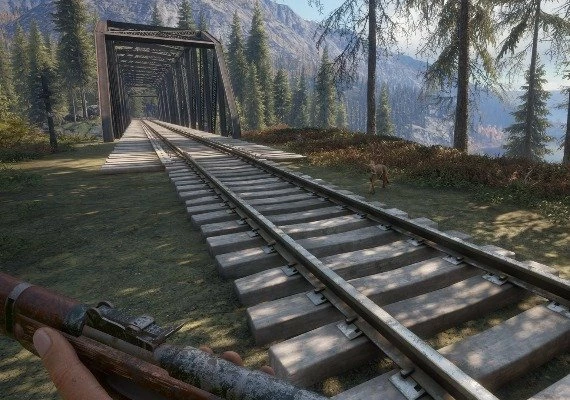 theHunter: Call of the Wild - Weapon Pack 2 DLC Global