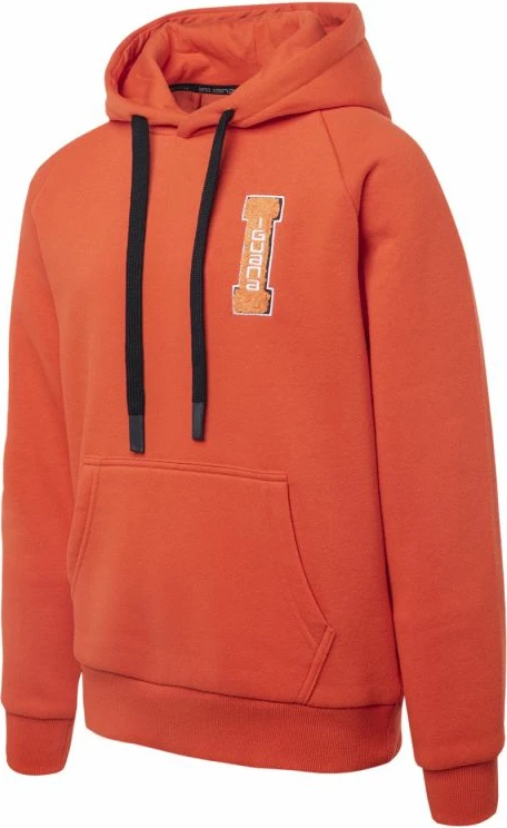 Duks fëmijë Iguana