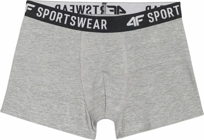 Të brendshme për djem 4F, multikolor