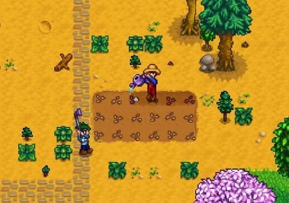 Stardew Valley EN/DE/JA/PT/RU/ZH/ES Global