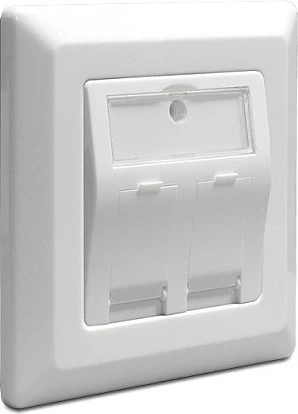 Prizë muri DeLOCK 86202, 2x Keystone, 80x80 mm, e bardhë