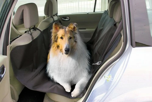 Shtroje Mbrojtese Nga Kafshet Shtepiake