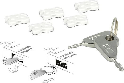 Bllokues porti USB-A DeLOCK 20648, set me çelës, argjend/bardhë