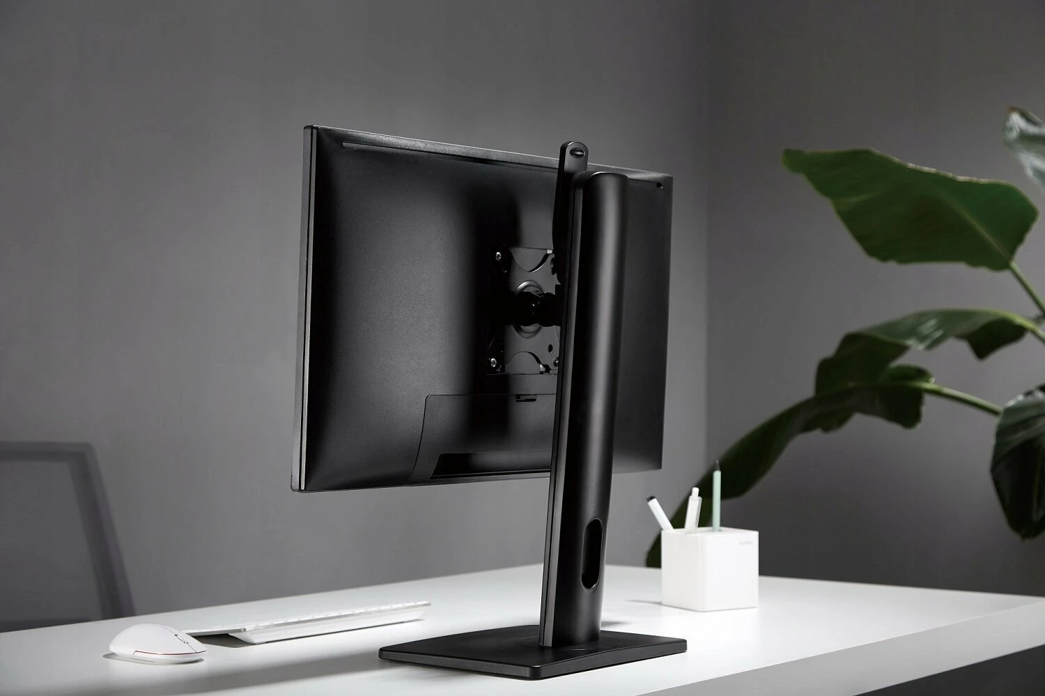 Mbajtëse monitori desktop Gembird MS-D1-01 17"-32" VESA 75x75/100x100 max 7 kg zezë