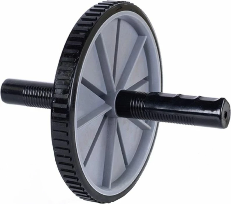 Roller ushtrimesh PROfit, gri