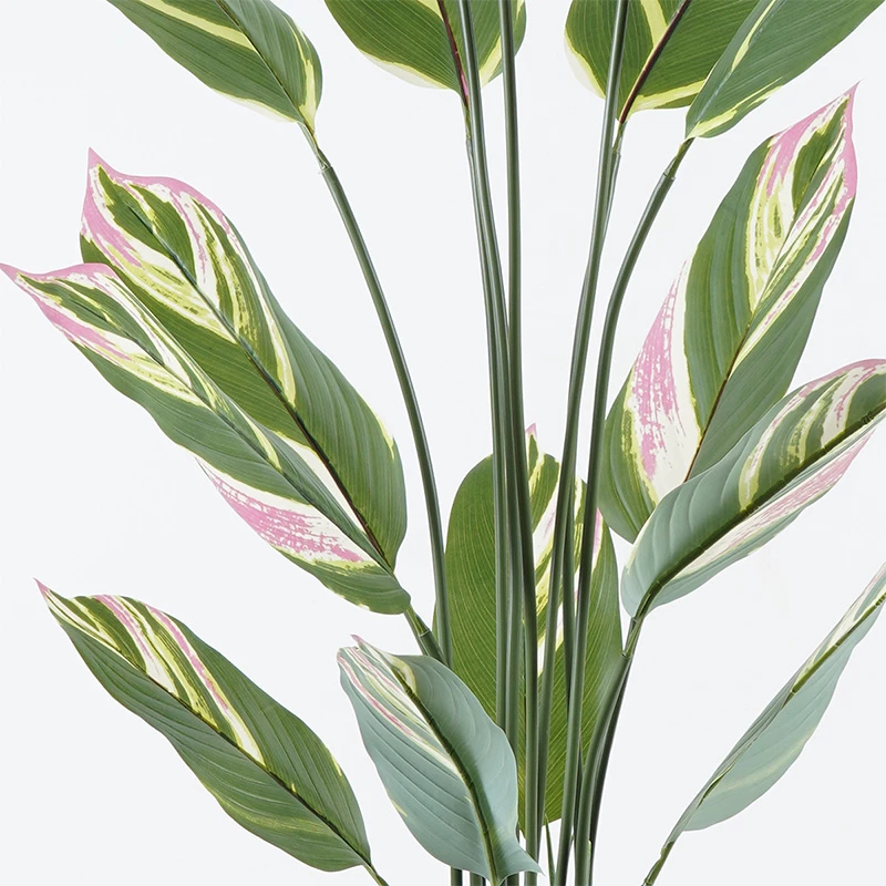 Bimë dekorative Aglaonema në vazo, ngjyrë e gjelbër, 80x150cm