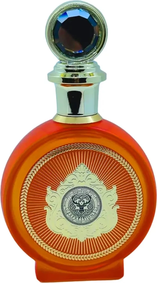 Eau de Parfum unisex North Stag Expressions IV Quarte 100ml