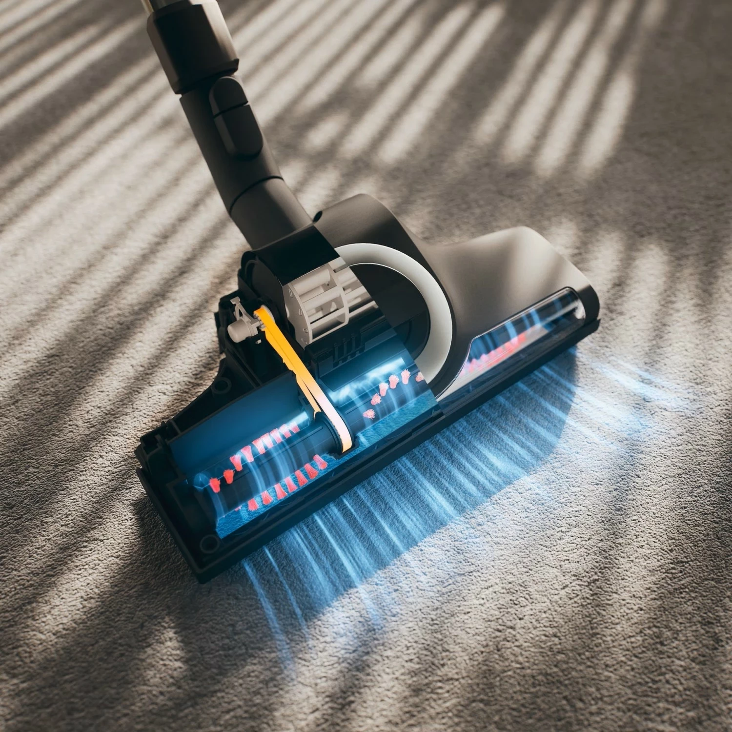 Kasë fshesë Miele Boost CX1 Cat&Dog, pa qese, 890W, e zezë