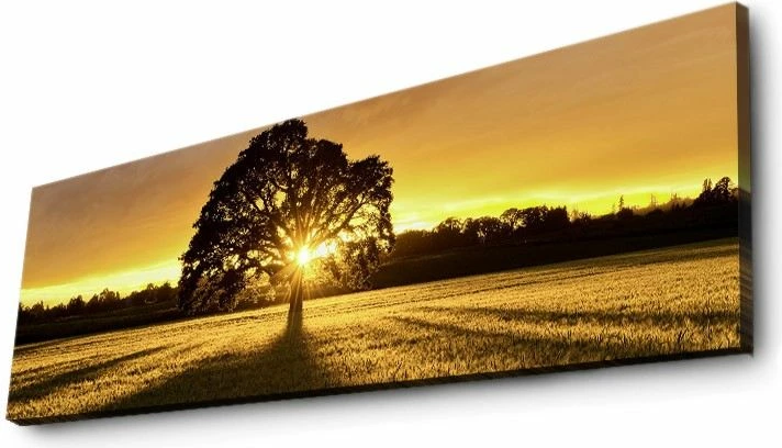 Pikturë dekorative në kanavacë me drita LED, shumëngjyrëshe, Wallity 3090DACT-68, 30x90cm