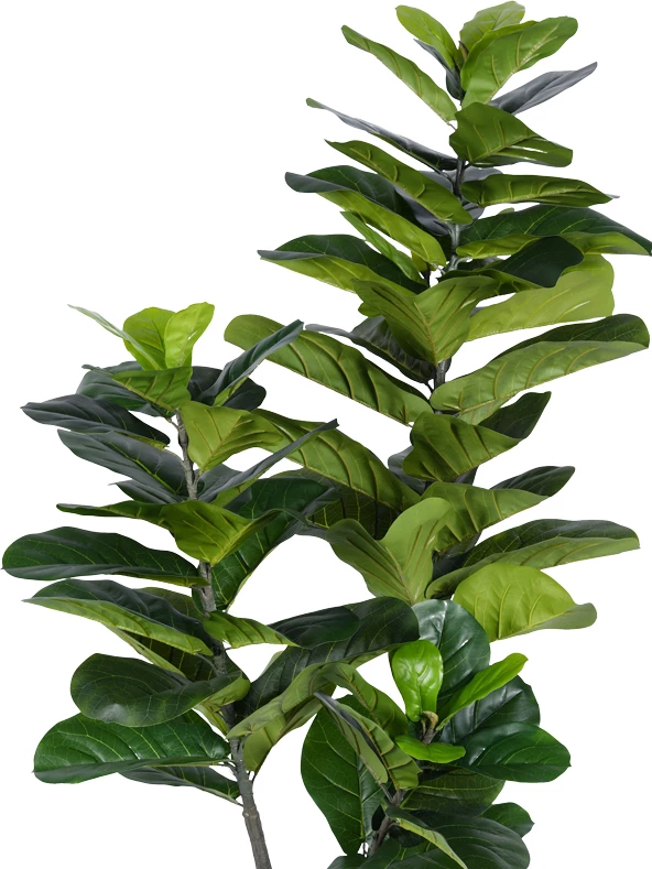 Bimë dekorative Fiddlehead I në vazo, ngjyrë e gjelbër, PP, 180cm