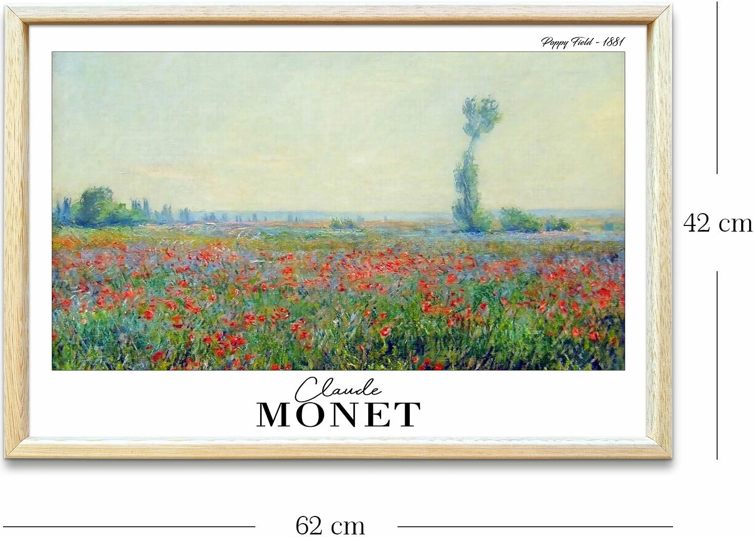 Pikturë dekorative me kornizë, Wallity, 4262AHSMONET-022
