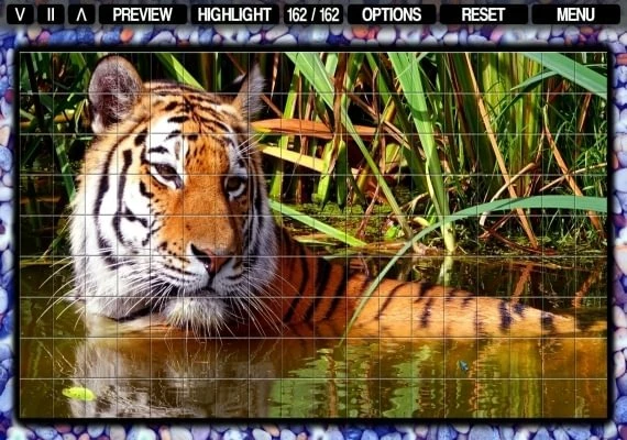 Pixel Puzzles Mosaics EN Global