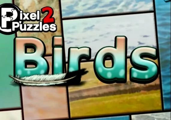 Pixel Puzzles 2: Birds EN Global