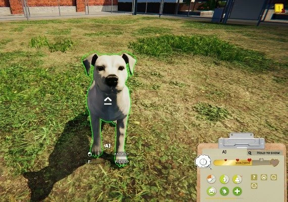 Animal Shelter Global