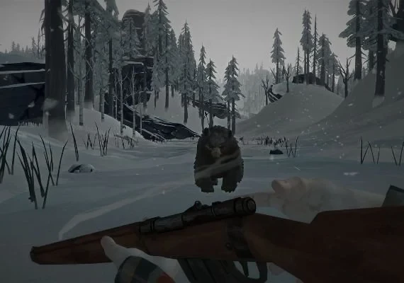 The Long Dark Global