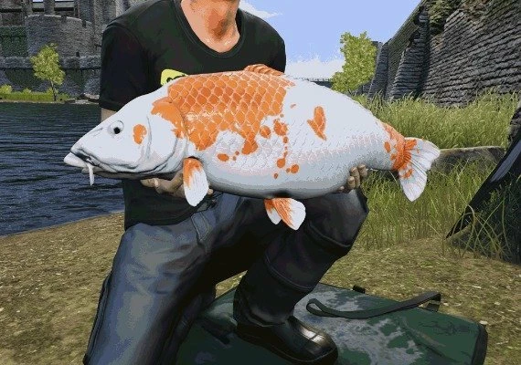 Euro Fishing - The Moat DLC EN/DE/FR/PL/RU Global