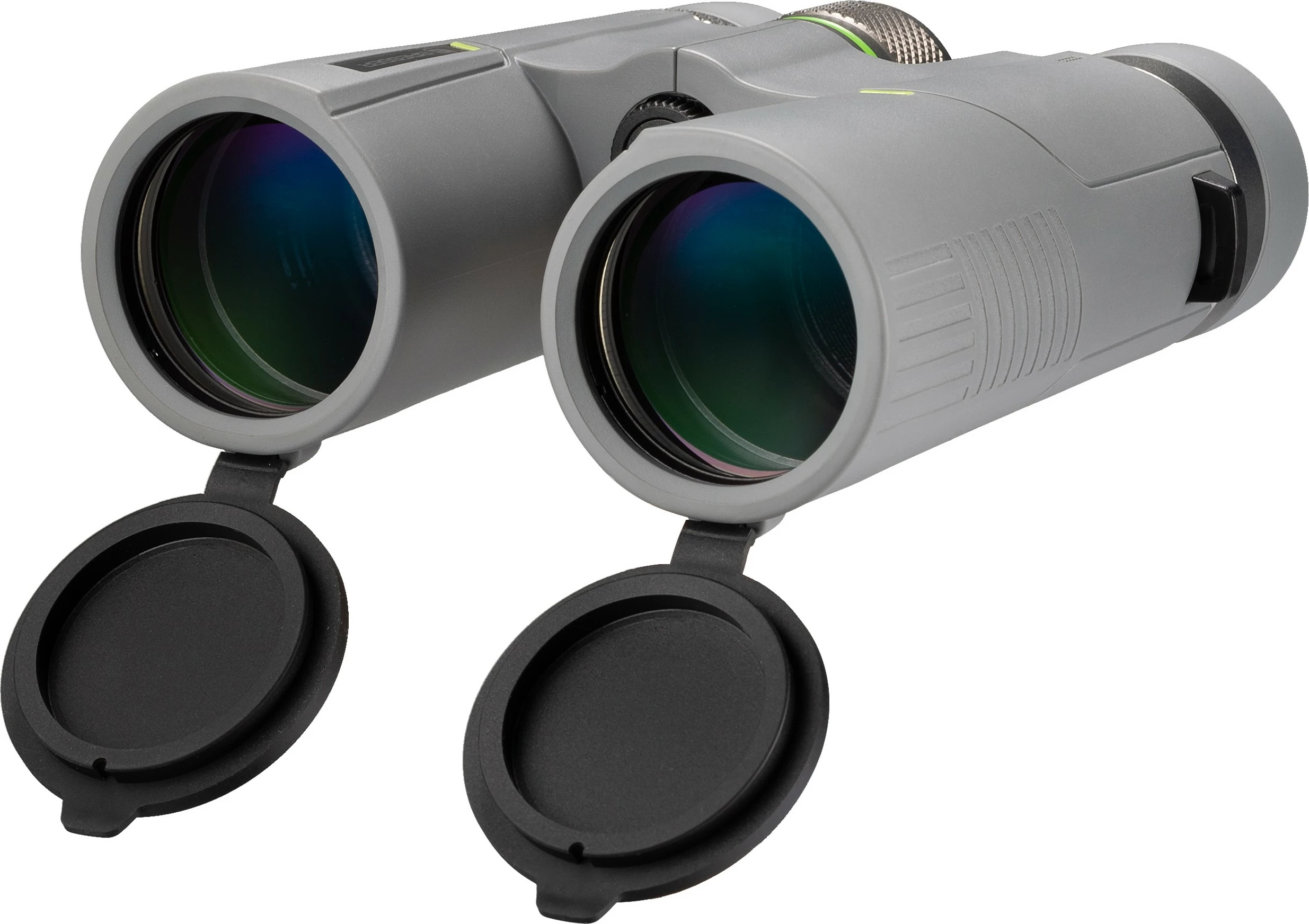 Dylbi Bresser Wave 8x42, gri
