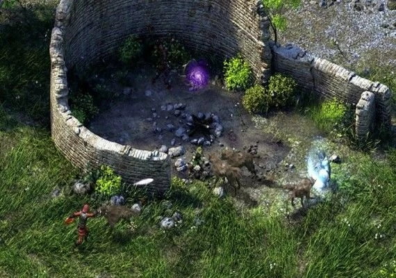 Pillars of Eternity Hero Edition EN/DE/FR/IT Global