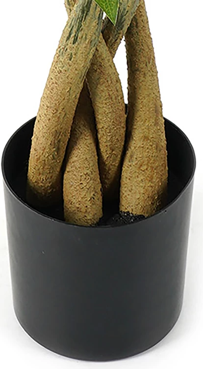 Bimë dekorative Pachira në vazo, ngjyrë e gjelbër, 40x60cm