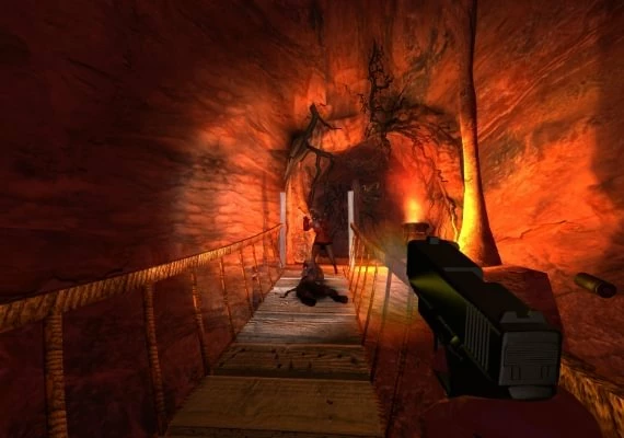 Gynophobia Global