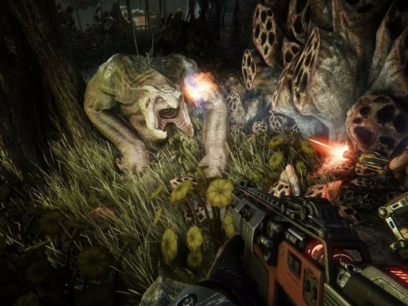 Aliens vs. Predator - Collection EN/DE/FR/IT/RU/ES Global