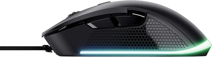 Maus Trust GXT 922 YBAR, i zi