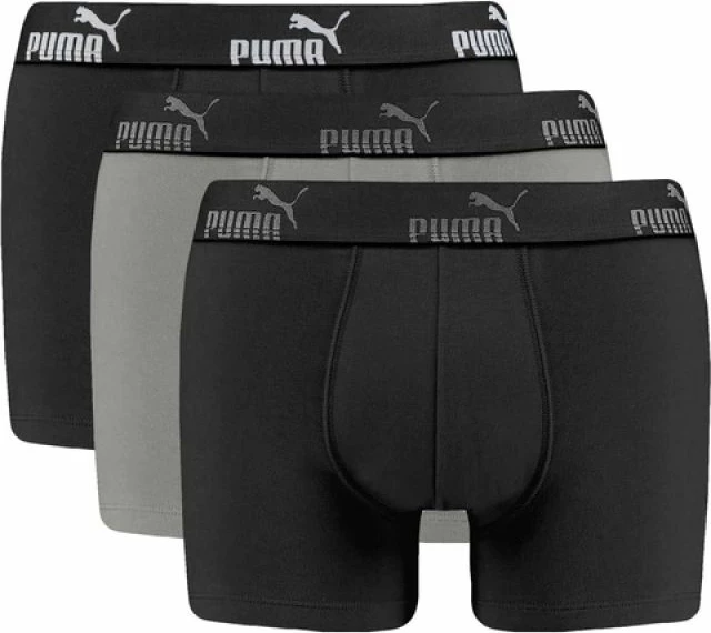 Të brendshme Puma për meshkuj, gri