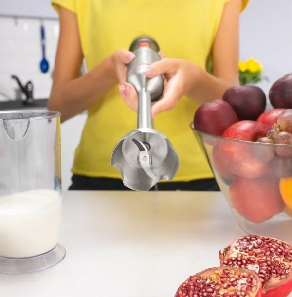 Blender dore Zelmer ZHB4650, argjend