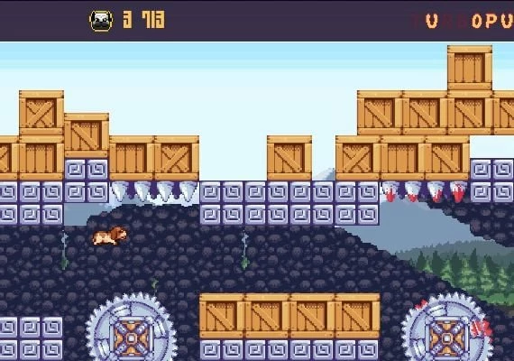 Turbo Pug DX EN Global