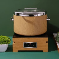 Pllakë induksioni e inkorporueshme, Fine Dine, 1000 W, 350x350 mm, e zezë