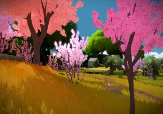 The Witness Global