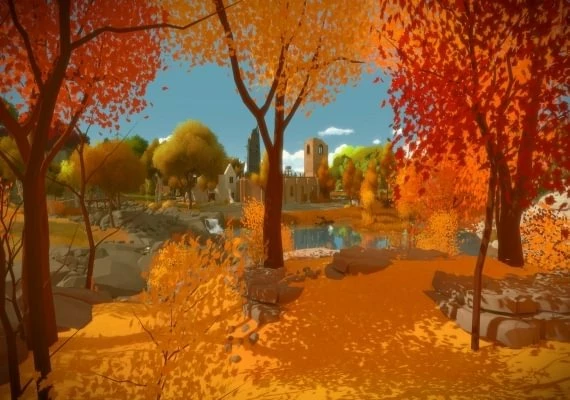 The Witness Global