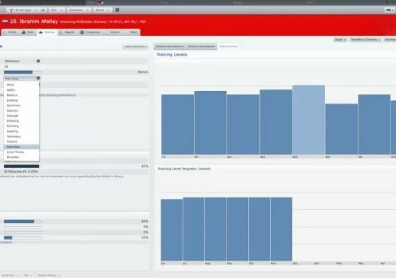 Football Manager 2011 EN Global