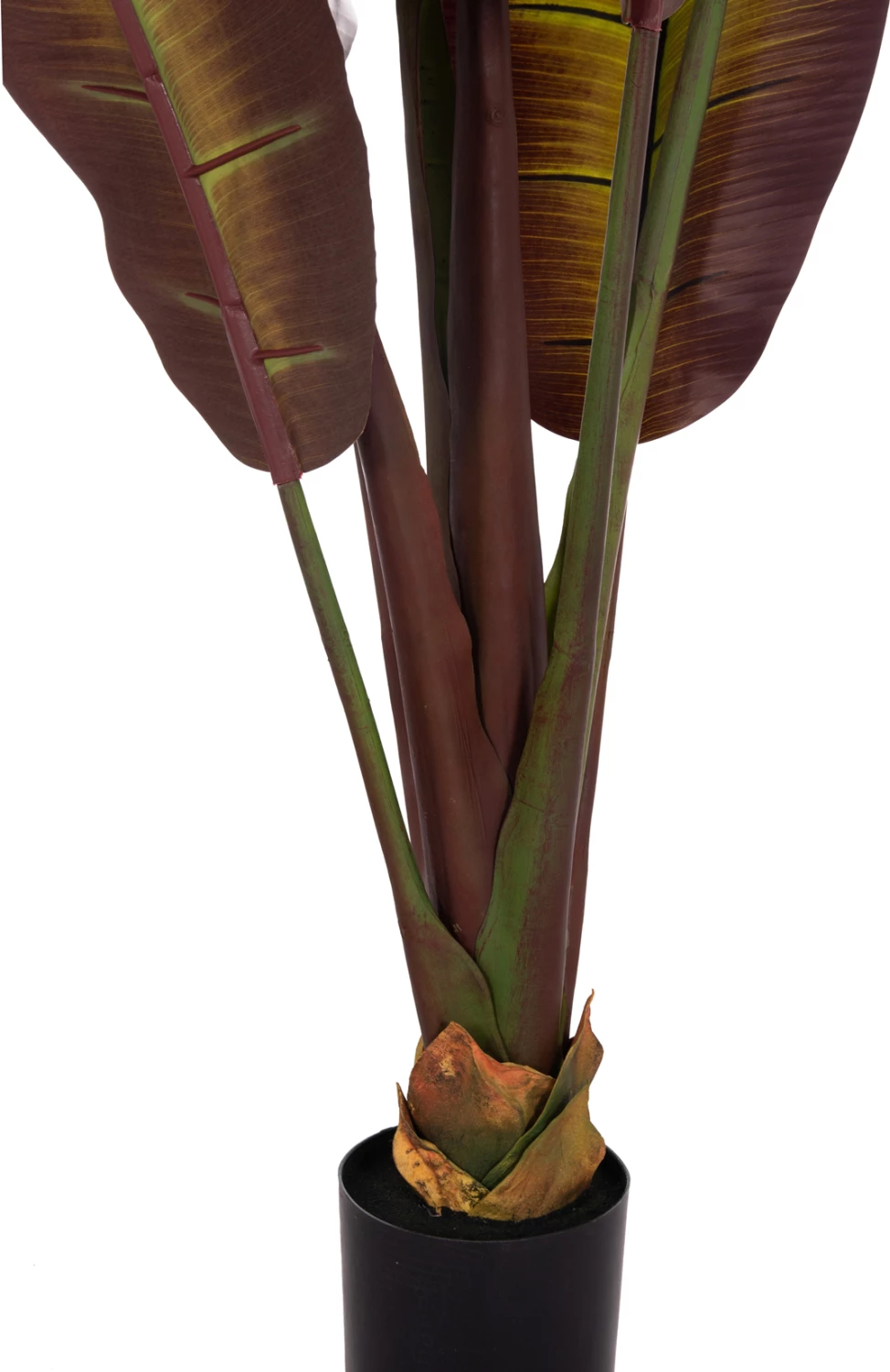 Bimë sintetike dekorative, banane japoneze, vazo, 85x75x225cm