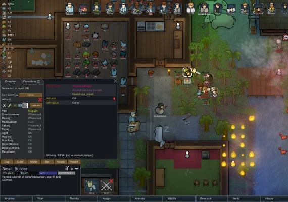 RimWorld - Starter Pack Global