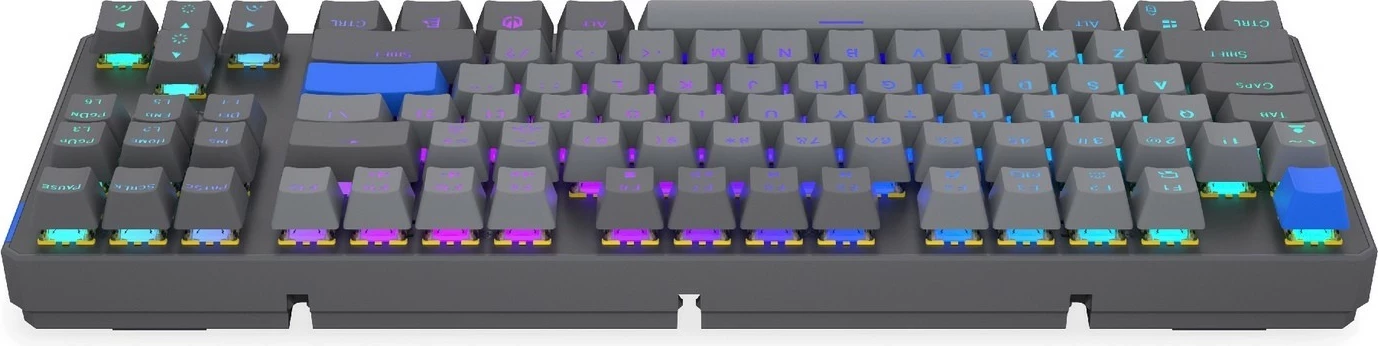Tastierë mekanike wireless Endorfy Thock V2 TKL, RGB, 87 taste, gri