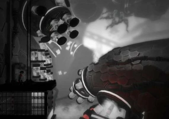 MonoChroma Global