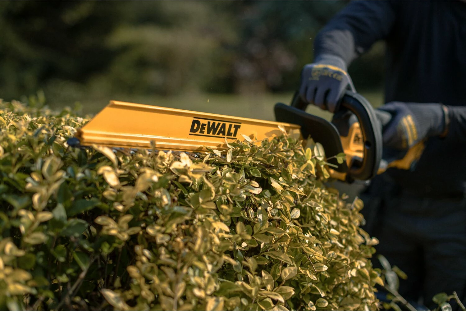 Trimer për gardh Dewalt DCMHT564P1 18V 55cm 25mm, 1x 5Ah + karikues