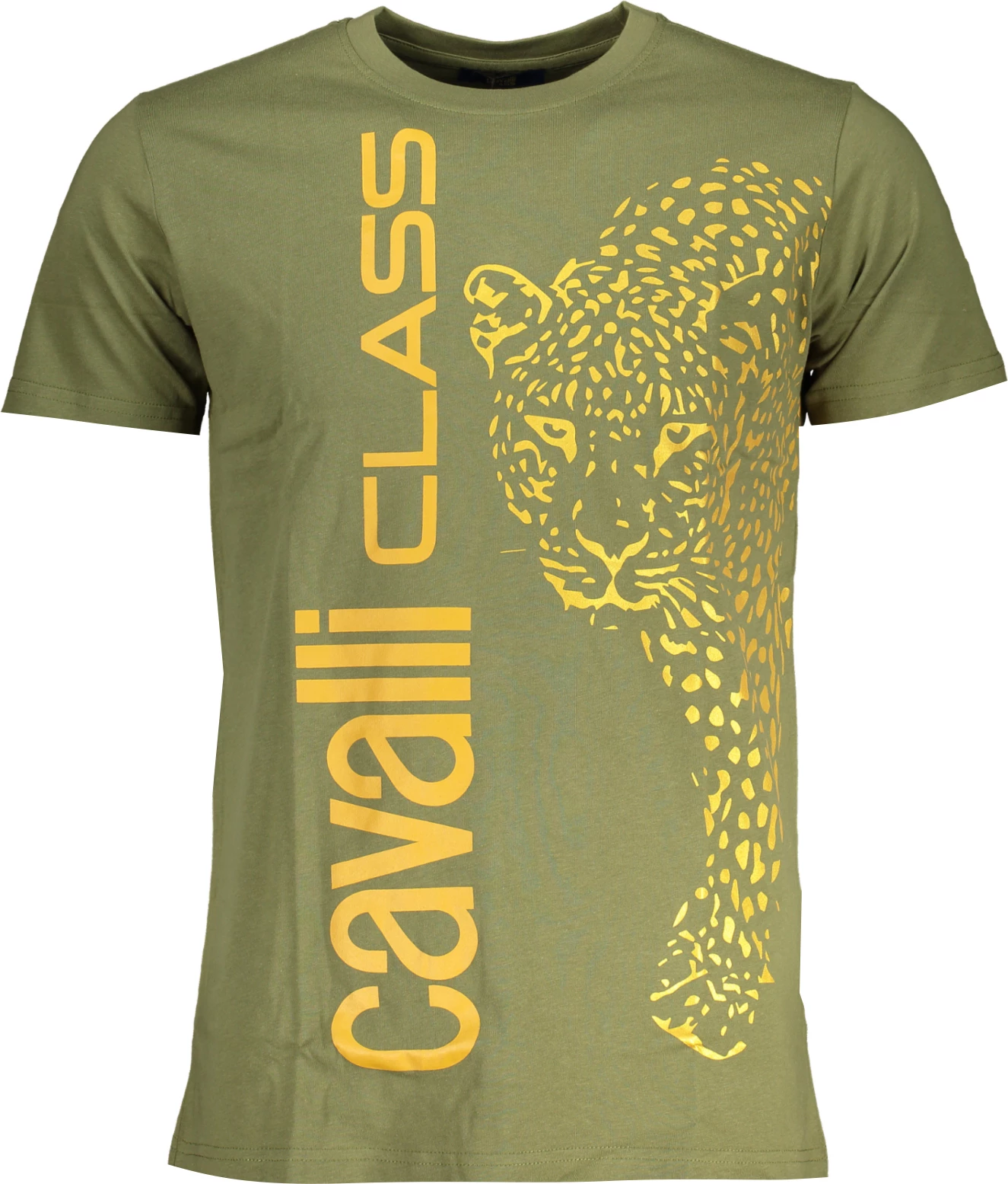 Maicë për meshkuj CAVALLI CLASS, e gjelbër