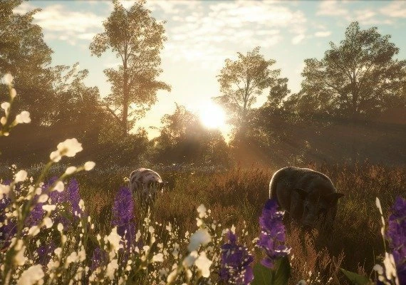 theHunter: Call of the Wild - Mississippi Acres Preserve DLC Global