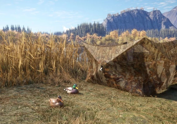 theHunter: Call of the Wild - Duck and Cover Pack DLC EN Global